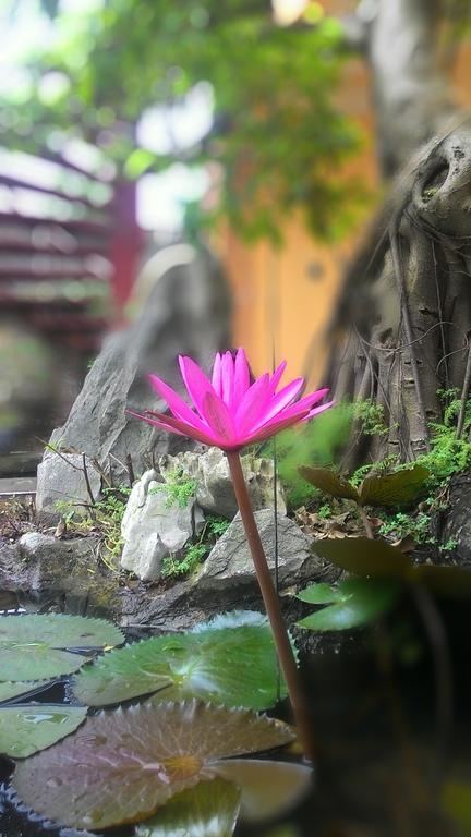 Tam Coc Green Homestay نينه بينه المظهر الخارجي الصورة